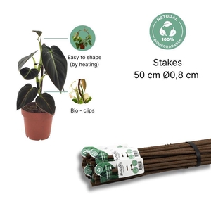 Kratiste Biodegradable climbing stake 50 cm - Ø 0,8 cm - packed per 5 pieces bundel of 10 pieces
