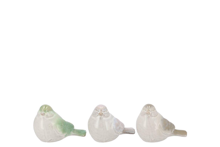 <h4>Jet Green Bird Ass 12x7x9cm</h4>