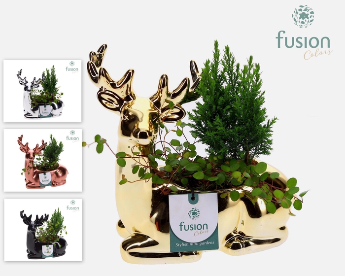 <h4>Keramiek Rendier zittend met arrangement</h4>