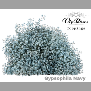 GYPS PA NAVY
