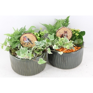 Arr2 Pl - Ker. Schaal Glazed Groen - Oranje/wit