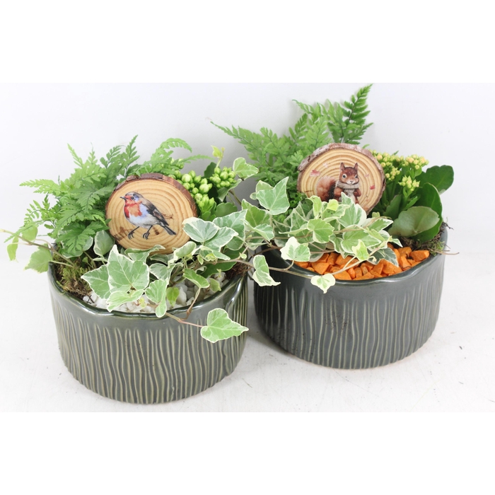 <h4>Arr2 Pl - Ker. Schaal Glazed Groen - Oranje/wit</h4>