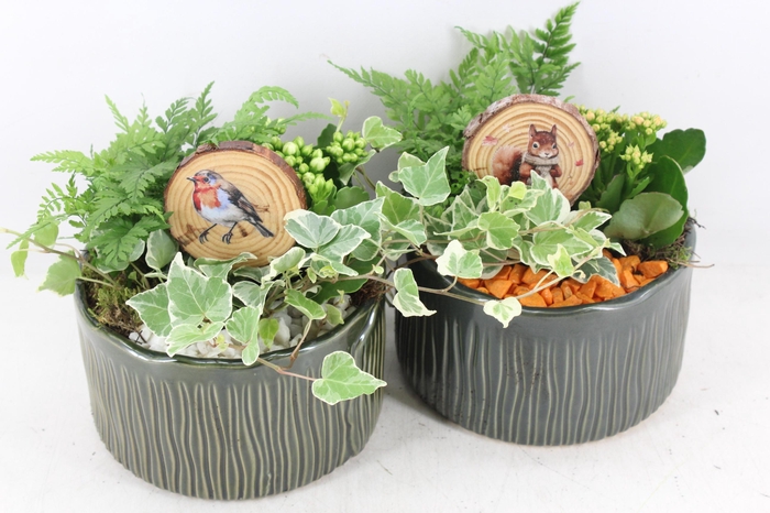 Arr2 Pl - Ker. Schaal Glazed Groen - Oranje/wit