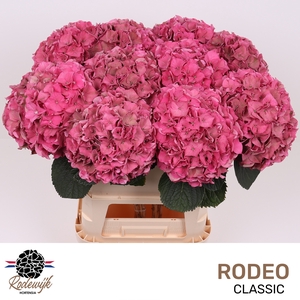 HYDR M CH RODEO CL