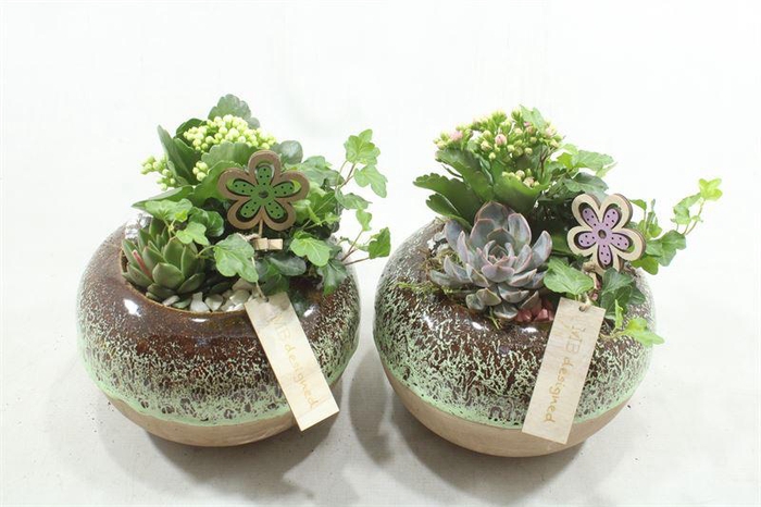 <h4>JA553 KER BOL KAL</h4>