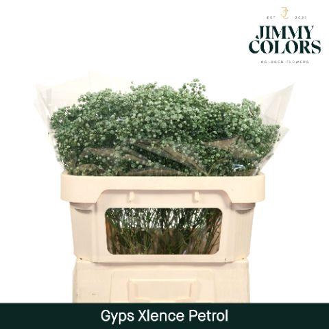 <h4>Gyps Xlence l70 Petrol</h4>