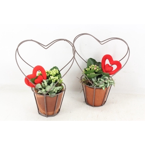 arr2 TD - Terra cotta pot hart