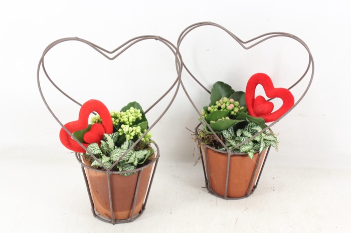 <h4>arr2 TD - Terra cotta pot hart</h4>