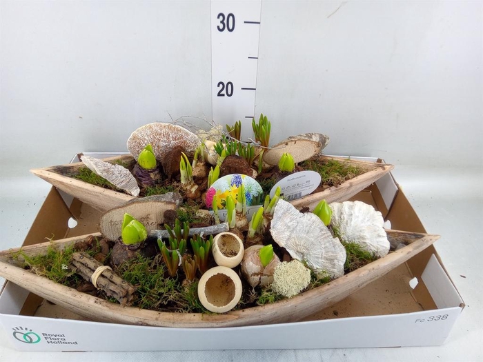 <h4>Arr.   Bol/Knolgewas L%</h4>