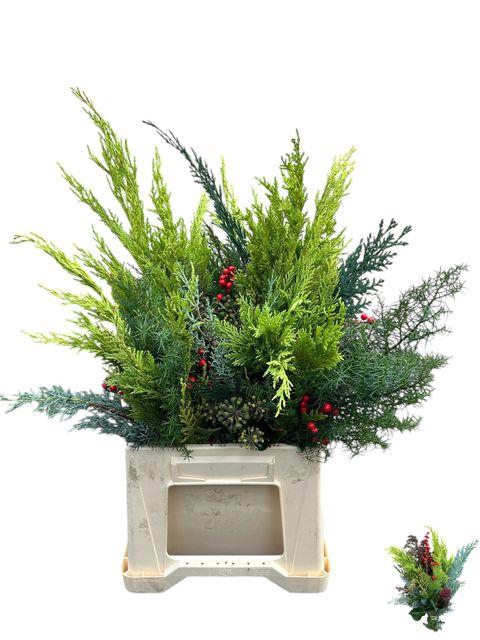 <h4>KERSTGROEN OV BS X8 PER FUST</h4>