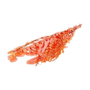 Bunch Euca Mix Pres. 150gr L65