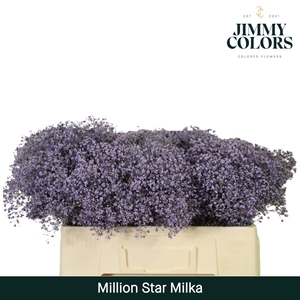 Gyps Million Star l50 Milka