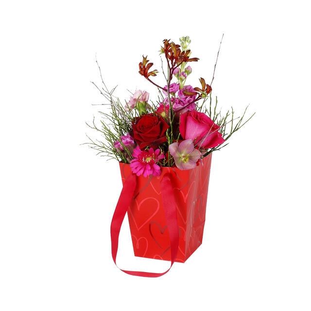 <h4>Bag Love Spot 16x12xH22cm red  10pce/pack</h4>
