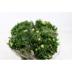 Anem Marianne Pastel