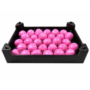 Waxappel Pink Rose
