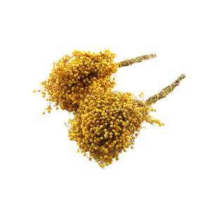 Pepperberry Yellow