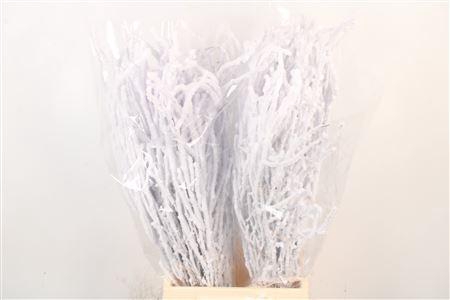 <h4>Berk Snow Per Bunch 70cm</h4>