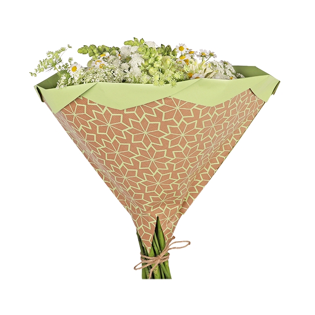 <h4>Hoes 35x35cm Foldio 50gr Recycled kraft Bluma groen 250/ds</h4>