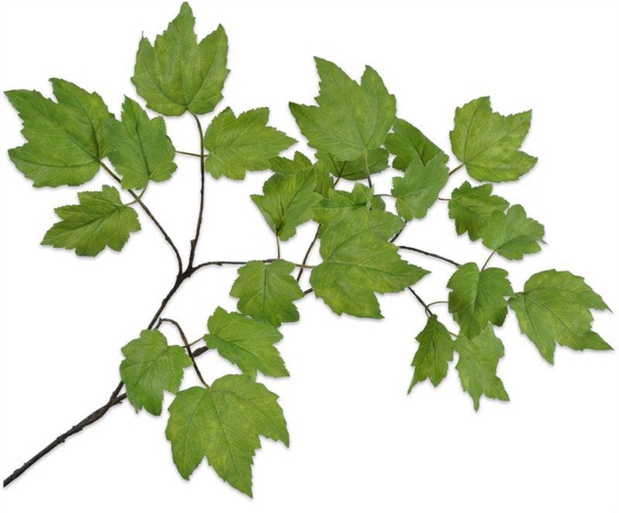 <h4>Tak 120cm blad groen</h4>