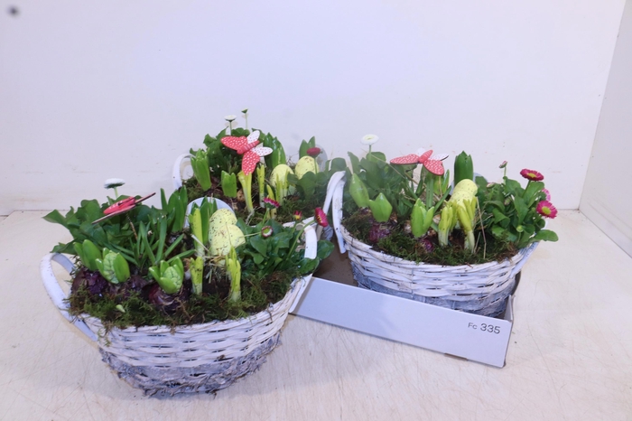 <h4>ARR TUINPLANTEN</h4>