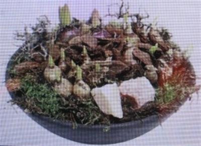 <h4>5473 EBBI BM XL</h4>