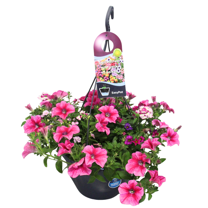 <h4>'Weekaanbieding; Hangpotten 27 waterreservoir mix 02 Roze mix</h4>