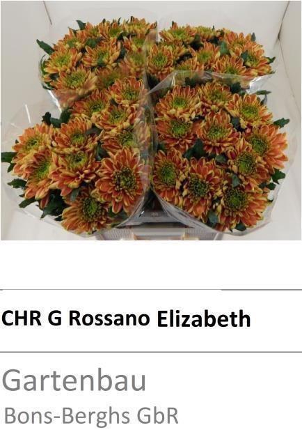 <h4>CHR G ROSS ELIZABETH</h4>