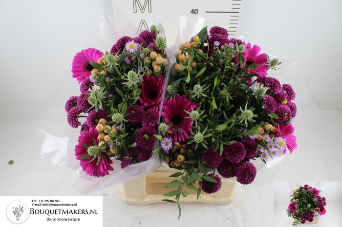 <h4>GEM BOEKET OV</h4>