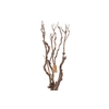 Syringa Branch Extra La Gandara