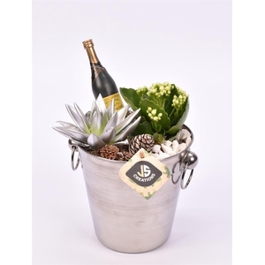 Champagnekoeler zilver 14 cm