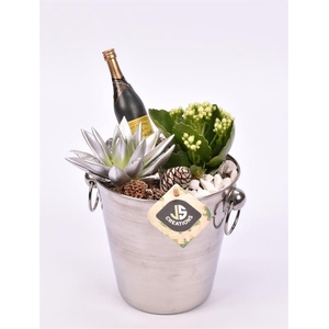 Champagnekoeler zilver 14 cm