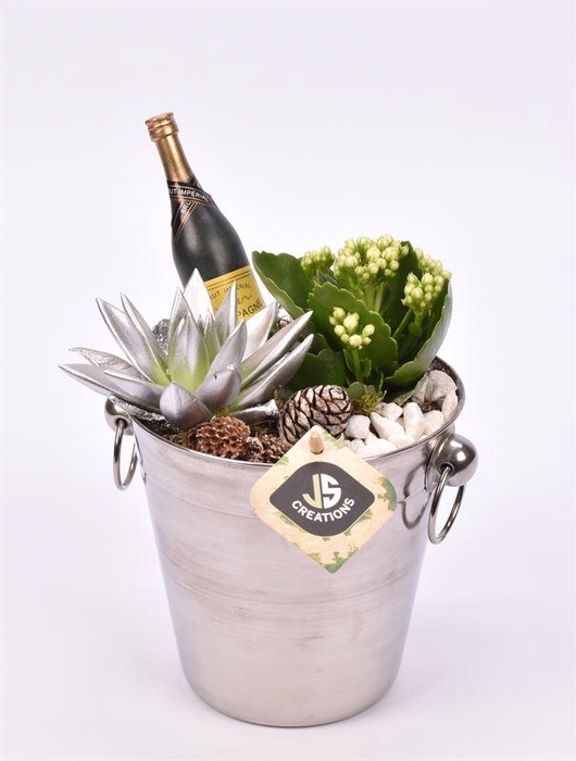 <h4>Champagnekoeler zilver 14 cm</h4>