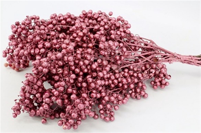 <h4>Schinus M Pt Perfect Pink Bunch</h4>