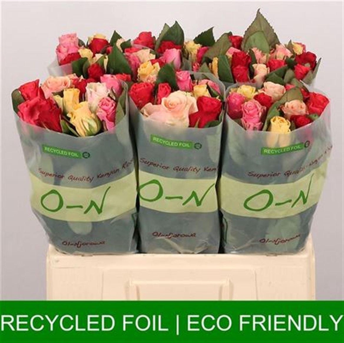 <h4>R Gr Tacazzi Gem</h4>