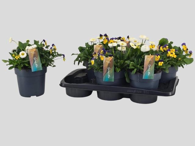 <h4>OVERIGE PERKPL</h4>