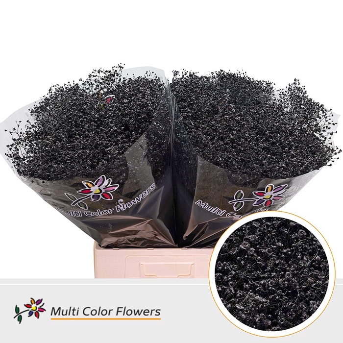 <h4>Gyps Fijn Zwart</h4>