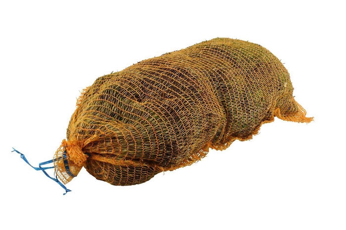 <h4>Mos Platmos ( Net Bag )</h4>