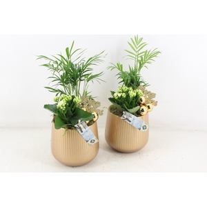 arr2 JS - Gold pot M x3