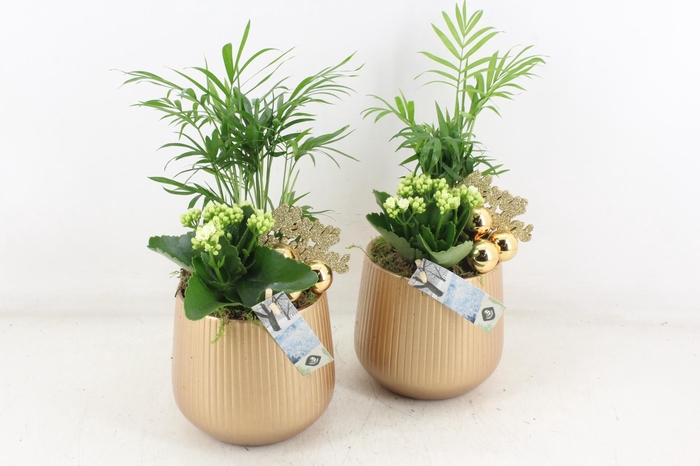 <h4>arr2 JS - Gold pot M x3</h4>