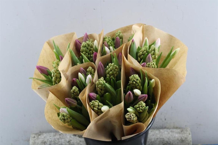 <h4>Hyacint-tulp Mix(rose)</h4>