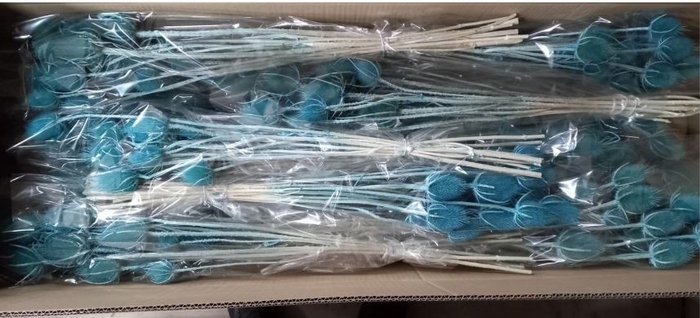 <h4>DF Dipsacus Turquoise Bs 130g</h4>