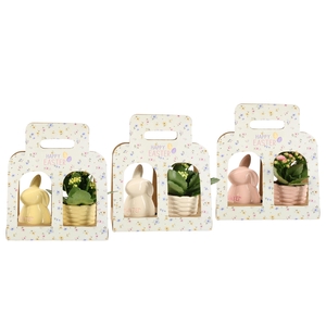 4501120: Solutionss Easter