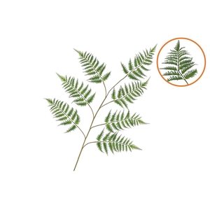 Silk Fern Dauallia Green 138cm