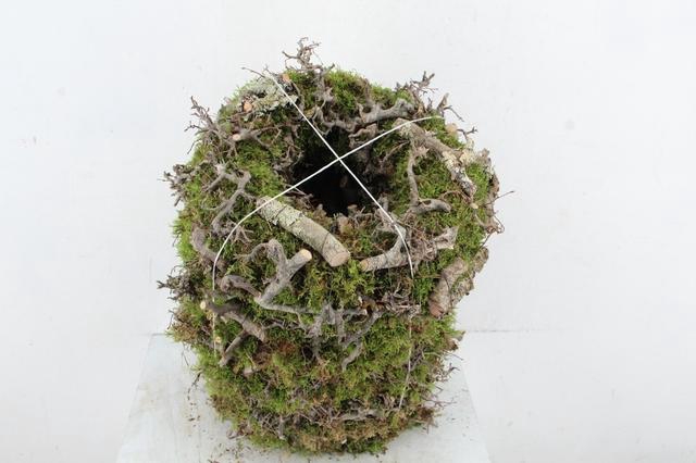 <h4>WREATH MOSS BONSAI LARIX 30CM</h4>