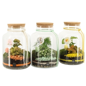 70888: Easter terrarium