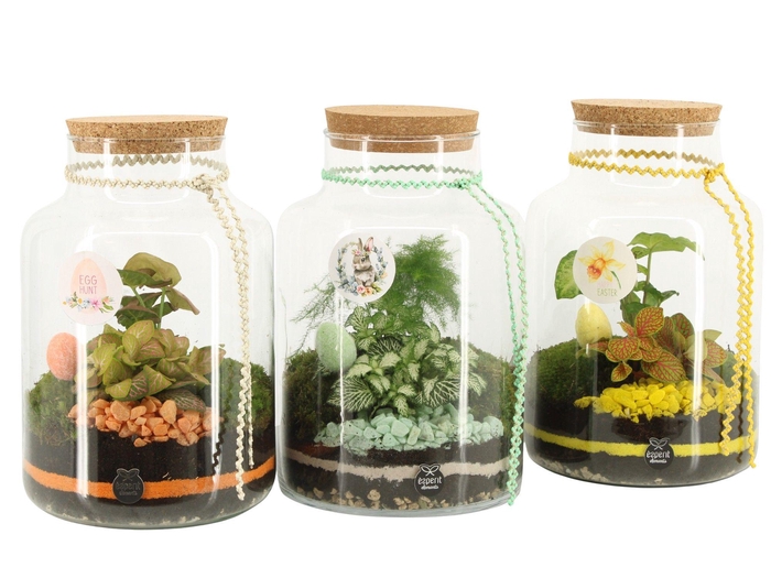 <h4>70888: Easter terrarium</h4>