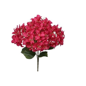 Bunch Bougainvillea L46W24H24