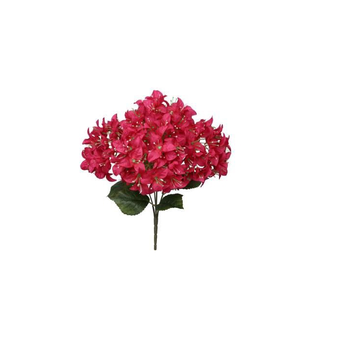 <h4>Bunch Bougainvillea L46W24H24</h4>