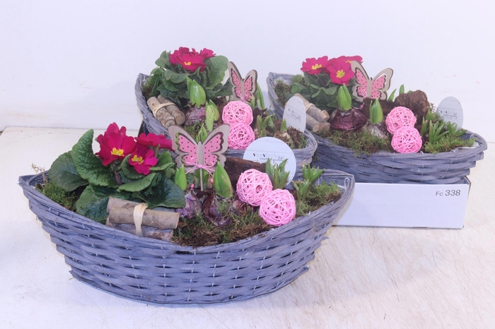 <h4>ARR TUINPLANTEN</h4>