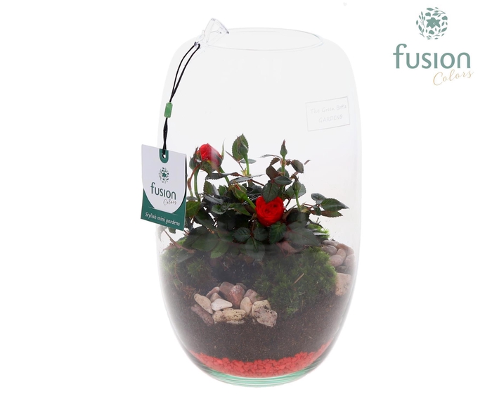 <h4>Green Bottle Love, Isabella Medium met Potroos D15</h4>